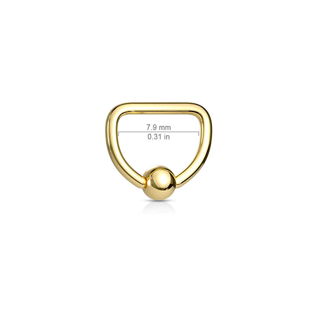 16G Titanium D Shaped Captive Rings Ear Cartilage Nose Septum Ring - Image 6
