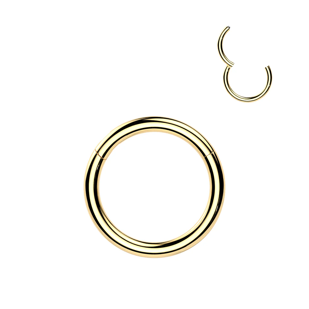 24kt Gold PVD Titanium Segment Hoop Ring Nose Septum Helix Lobe - Image 3