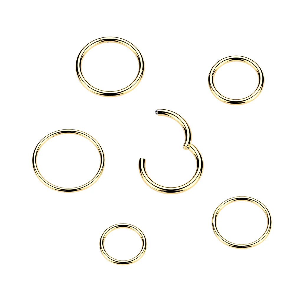 24kt Gold PVD Titanium Segment Hoop Ring Nose Septum Helix Lobe - Image 4