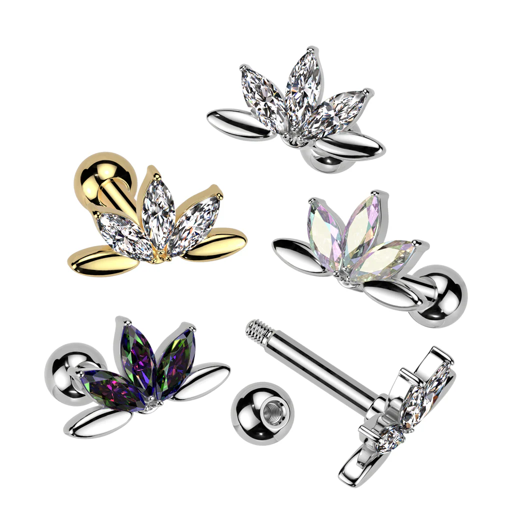 5 Marquise CZ Fan Ear Cartilage Daith Tragus Helix Ear Stud - Image 2