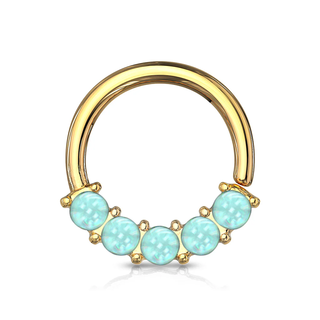 5 Epoxy Stone Front Facing Set All Surgical Steel Bendable Nose Septum Cartilage Daith - Image 6