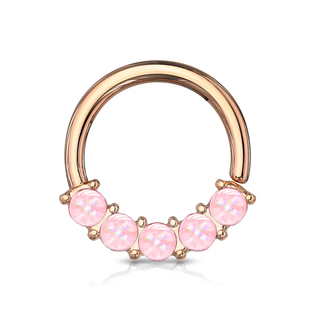 5 Epoxy Stone Front Facing Set All Surgical Steel Bendable Nose Septum Cartilage Daith - Image 8