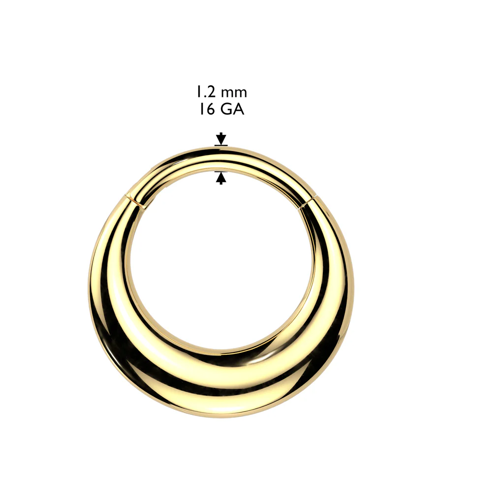 Hollow Thick Hinged Segment Hoop Ring Tragus Cartilage - Image 4
