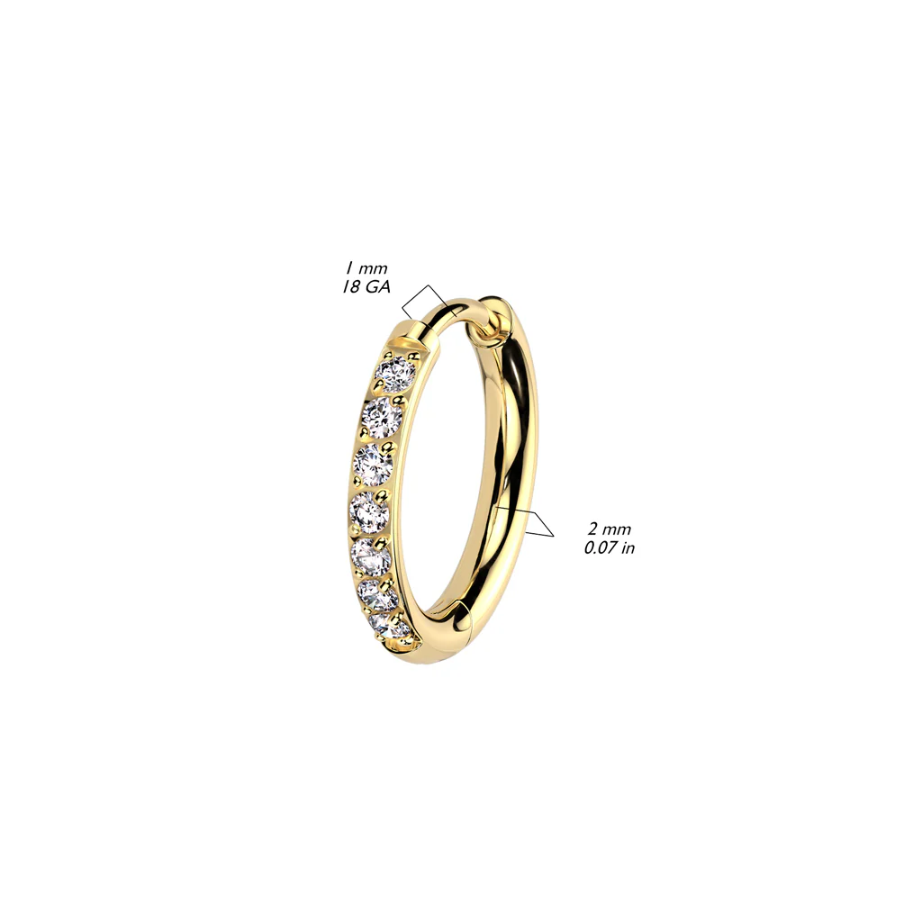 Pair Implant Titanium 2mm Thick Hinged Round Hoop CZ Earrings Studs - Image 2