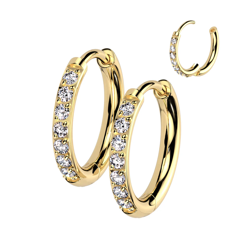 Pair Implant Titanium 2mm Thick Hinged Round Hoop CZ Earrings Studs - Image 4