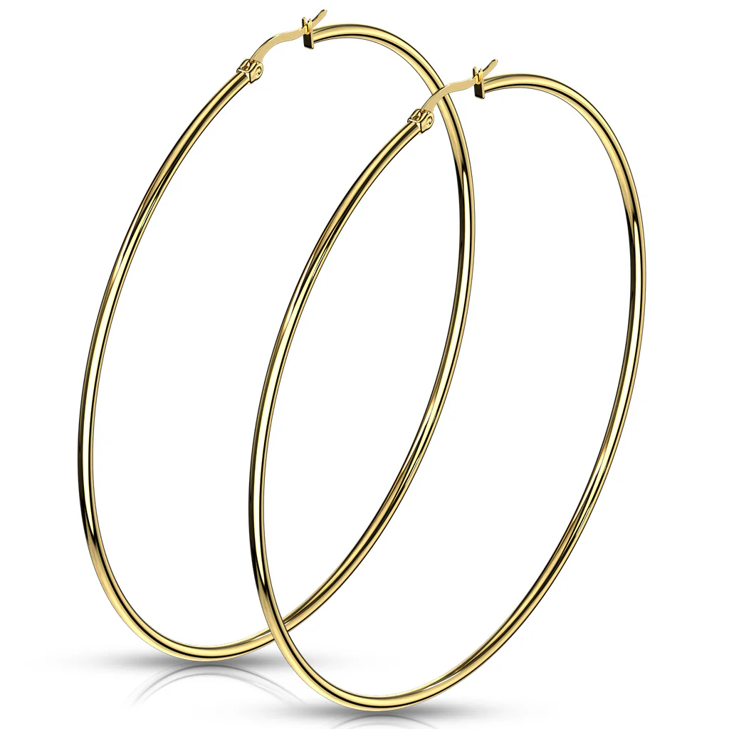 Pair Of 14Kt. Gold Plated On 316L Surgical Steel Round Hoop Earrings - Image 3