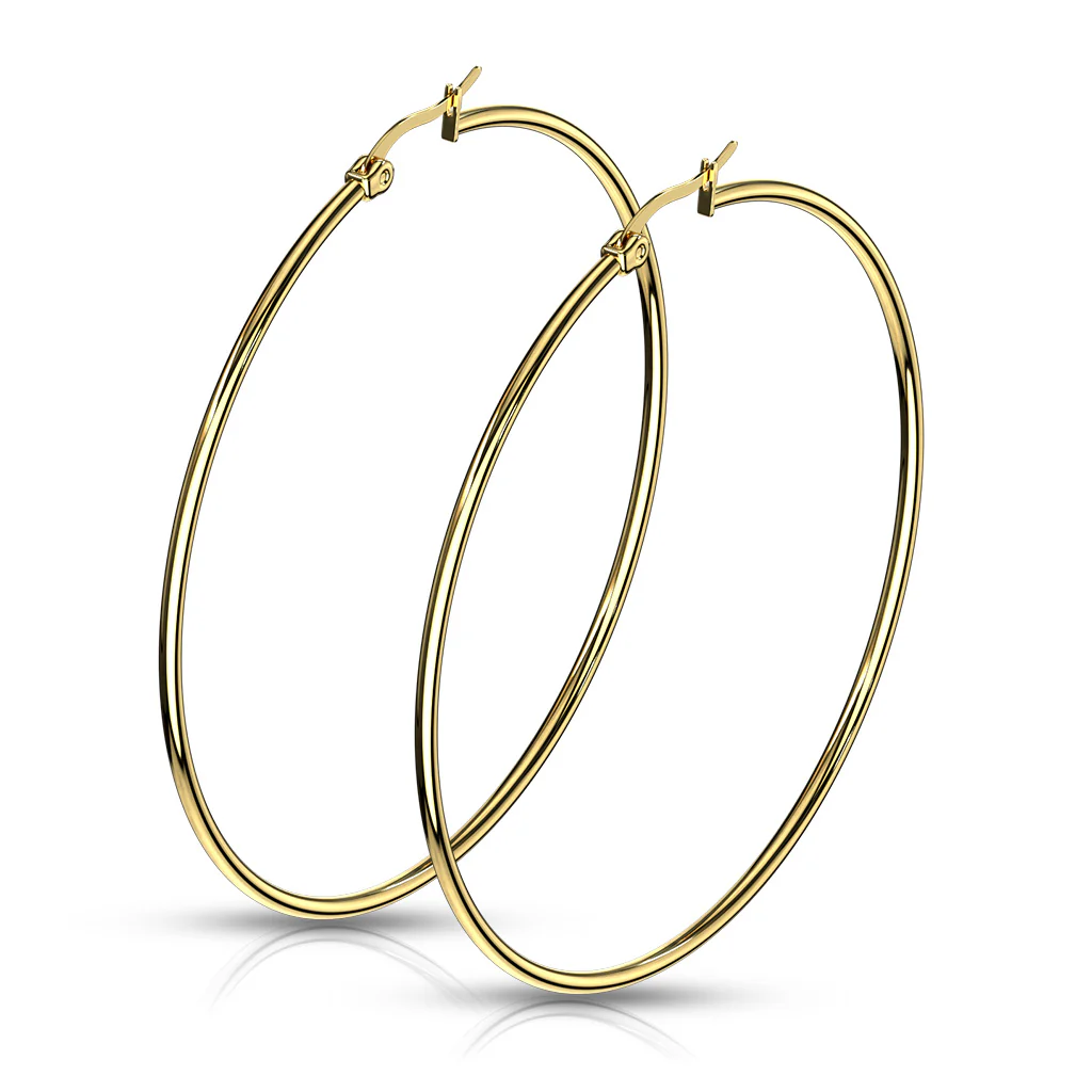 Pair Of 14Kt. Gold Plated On 316L Surgical Steel Round Hoop Earrings - Image 4