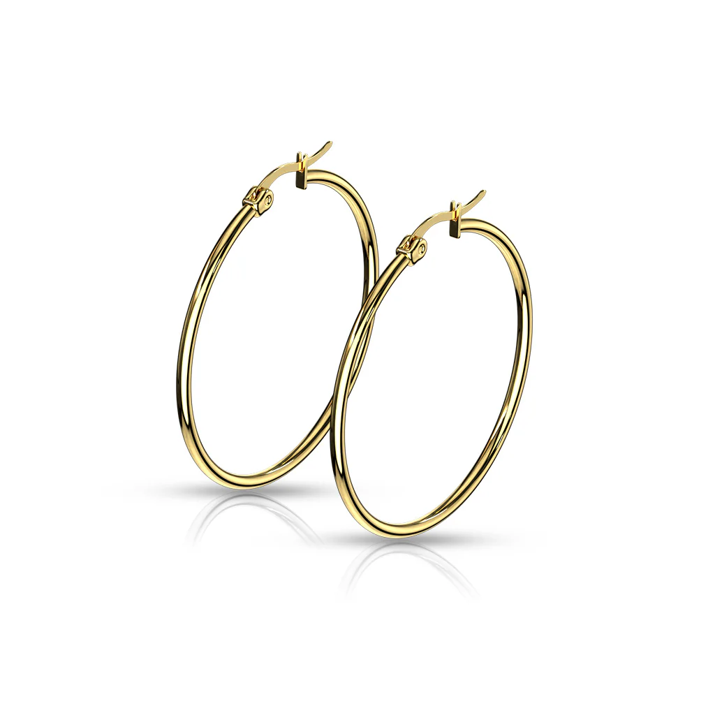 Pair Of 14Kt. Gold Plated On 316L Surgical Steel Round Hoop Earrings - Image 5