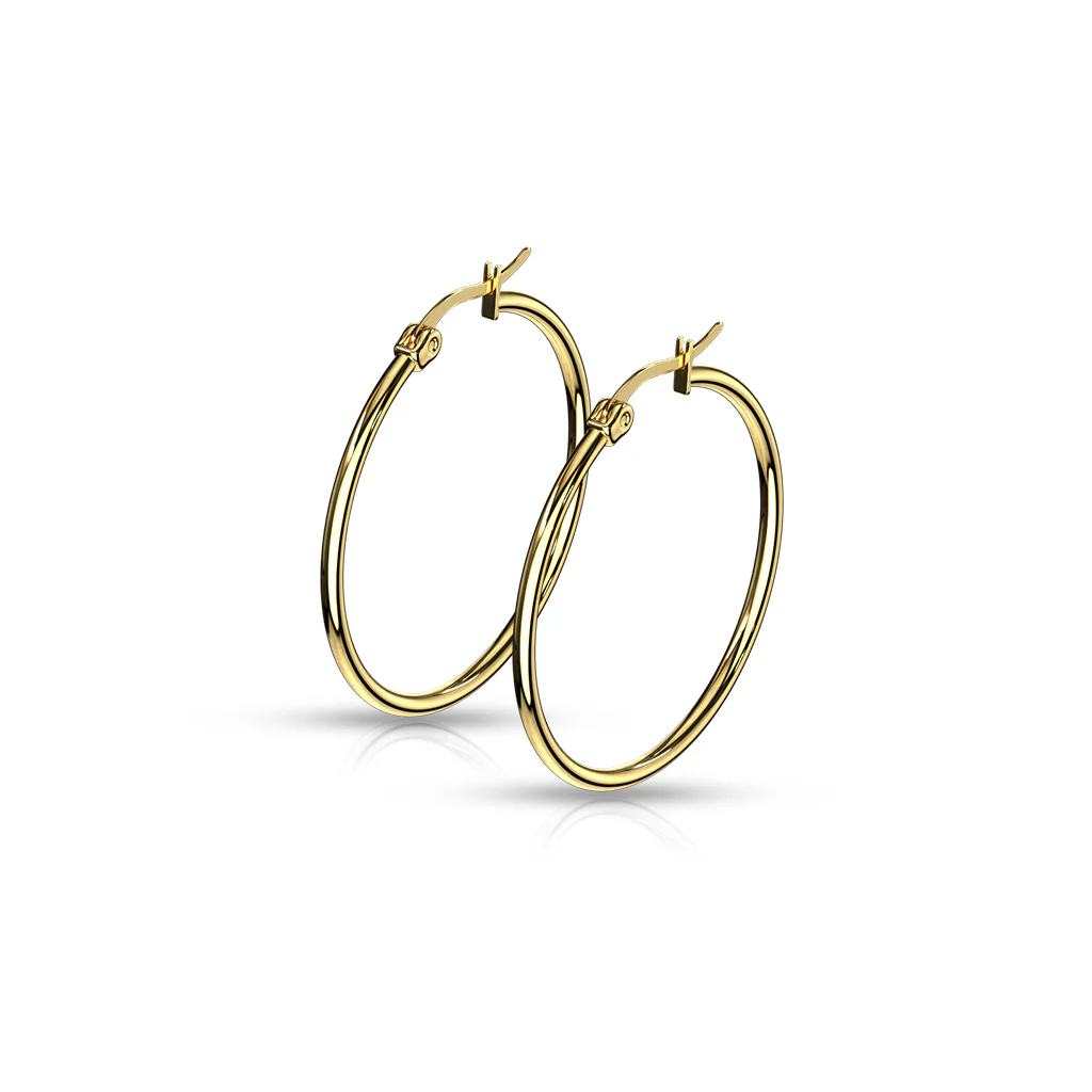 Pair Of 14Kt. Gold Plated On 316L Surgical Steel Round Hoop Earrings - Image 6