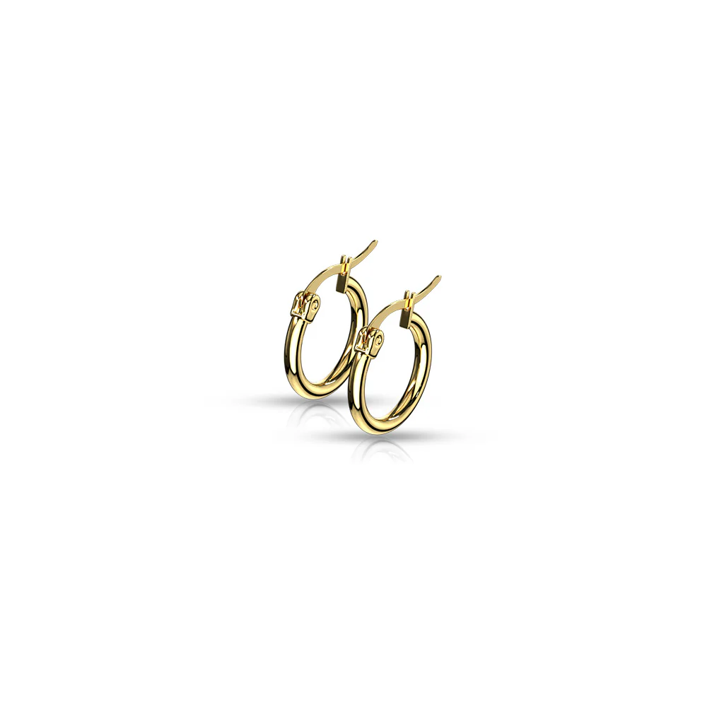 Pair Of 14Kt. Gold Plated On 316L Surgical Steel Round Hoop Earrings - Image 8