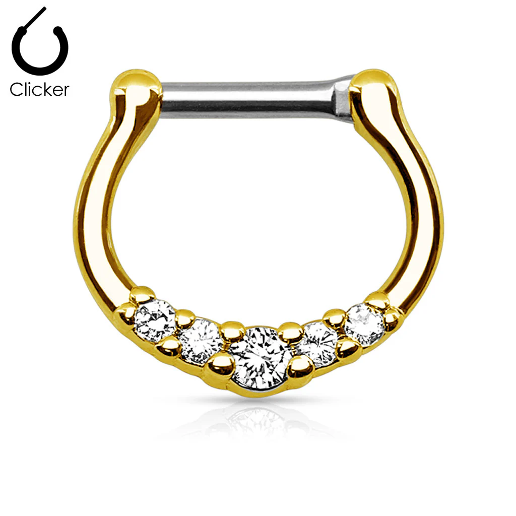 Five CZ 316L Surgical Steel Nose Ring Septum Clicker Daith - Image 6