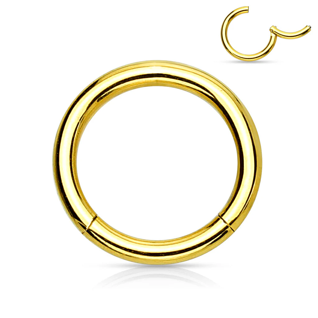 16G High Precision Surgical Steel Braided Hinged Segment Hoop Rings - Image 6