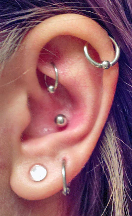 316L Surgical Steel 18G Captive Bead Rings Tragus Helix Snug Ear Cartilage Piercing - Image 2
