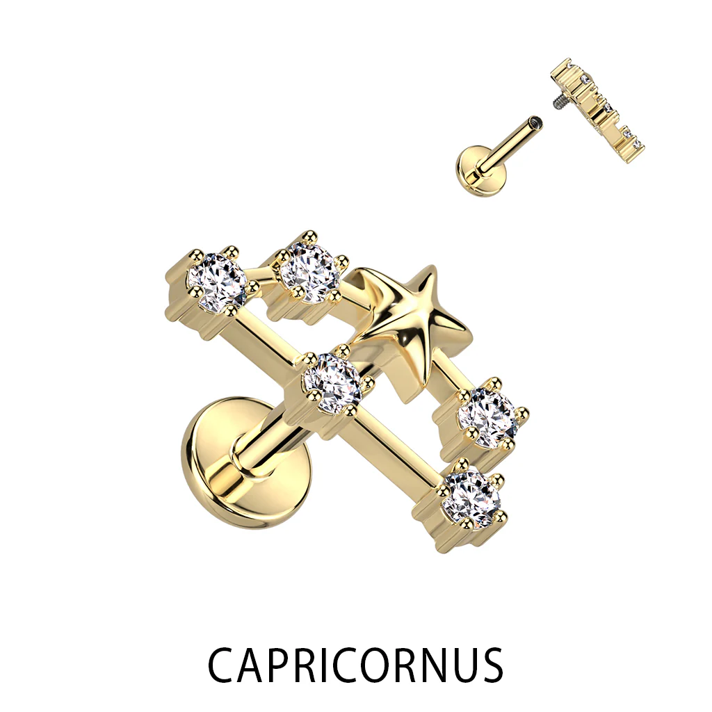 Gold Plated CZ Zodiac Constellation Labret Tragus Helix Ear Cartilage Studs - Image 10