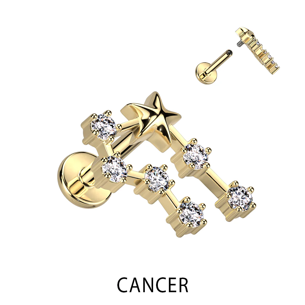 Gold Plated CZ Zodiac Constellation Labret Tragus Helix Ear Cartilage Studs - Image 11