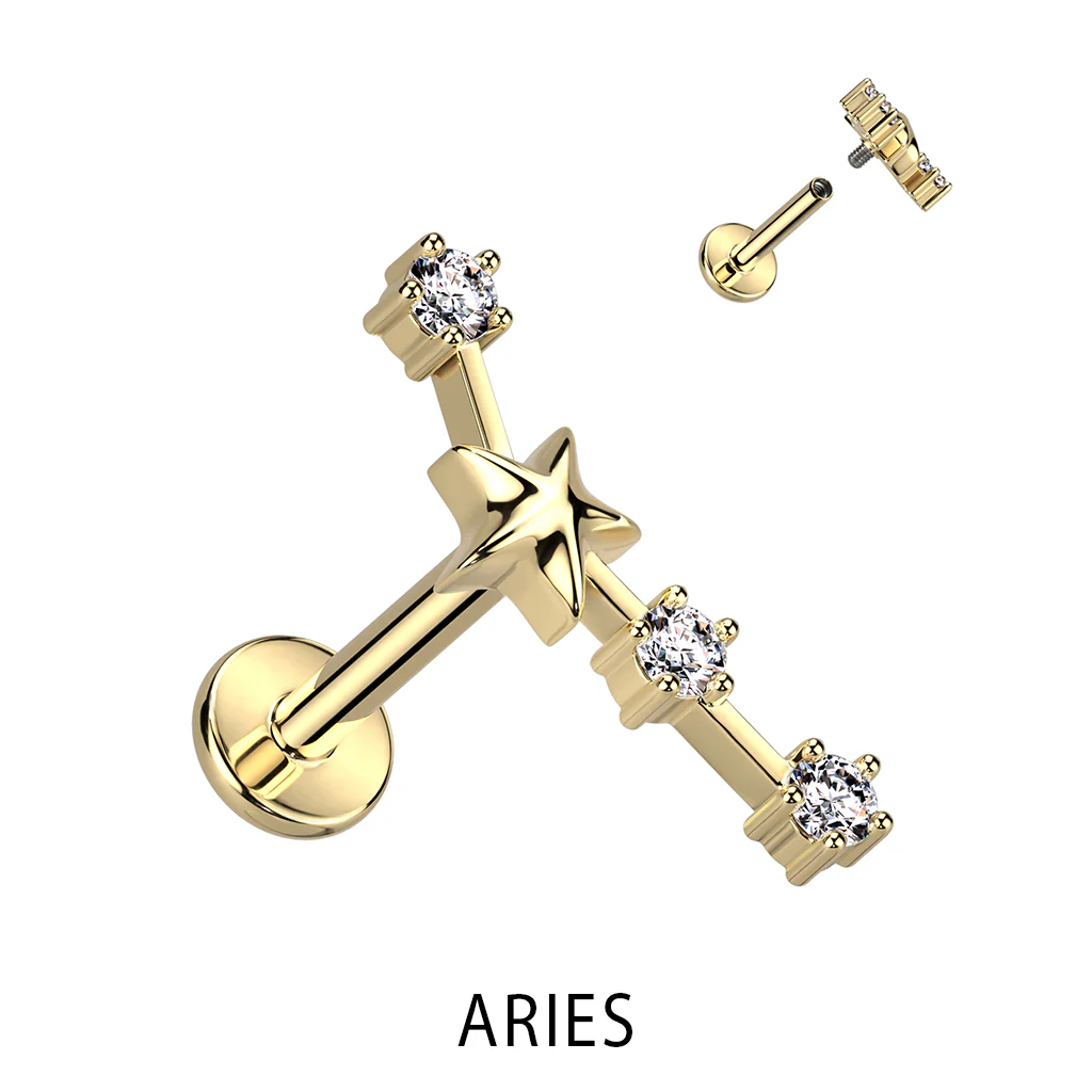 Gold Plated CZ Zodiac Constellation Labret Tragus Helix Ear Cartilage Studs - Image 12