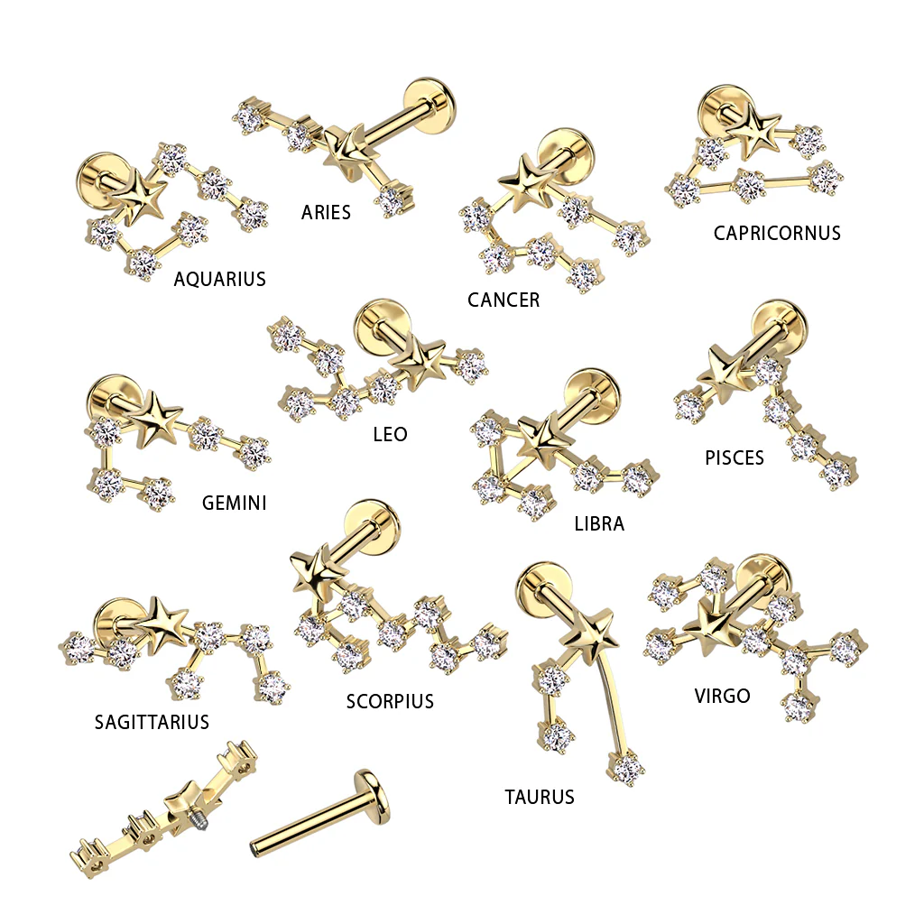 Gold Plated CZ Zodiac Constellation Labret Tragus Helix Ear Cartilage Studs - Image 14