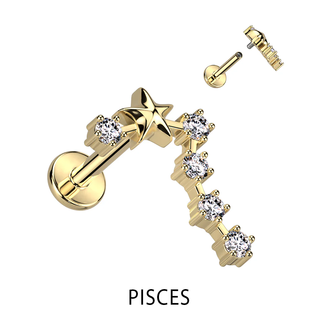 Gold Plated CZ Zodiac Constellation Labret Tragus Helix Ear Cartilage Studs - Image 6