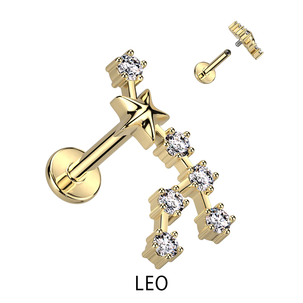 Gold Plated CZ Zodiac Constellation Labret Tragus Helix Ear Cartilage Studs - Image 8