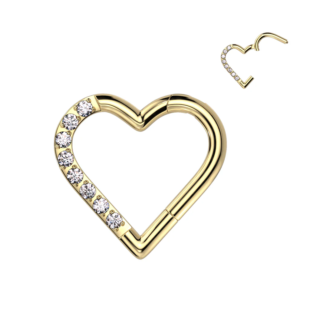 Titanium Hinged Segment Hoop Ring CZ Heart For Nose Septum Cartilage - Image 3