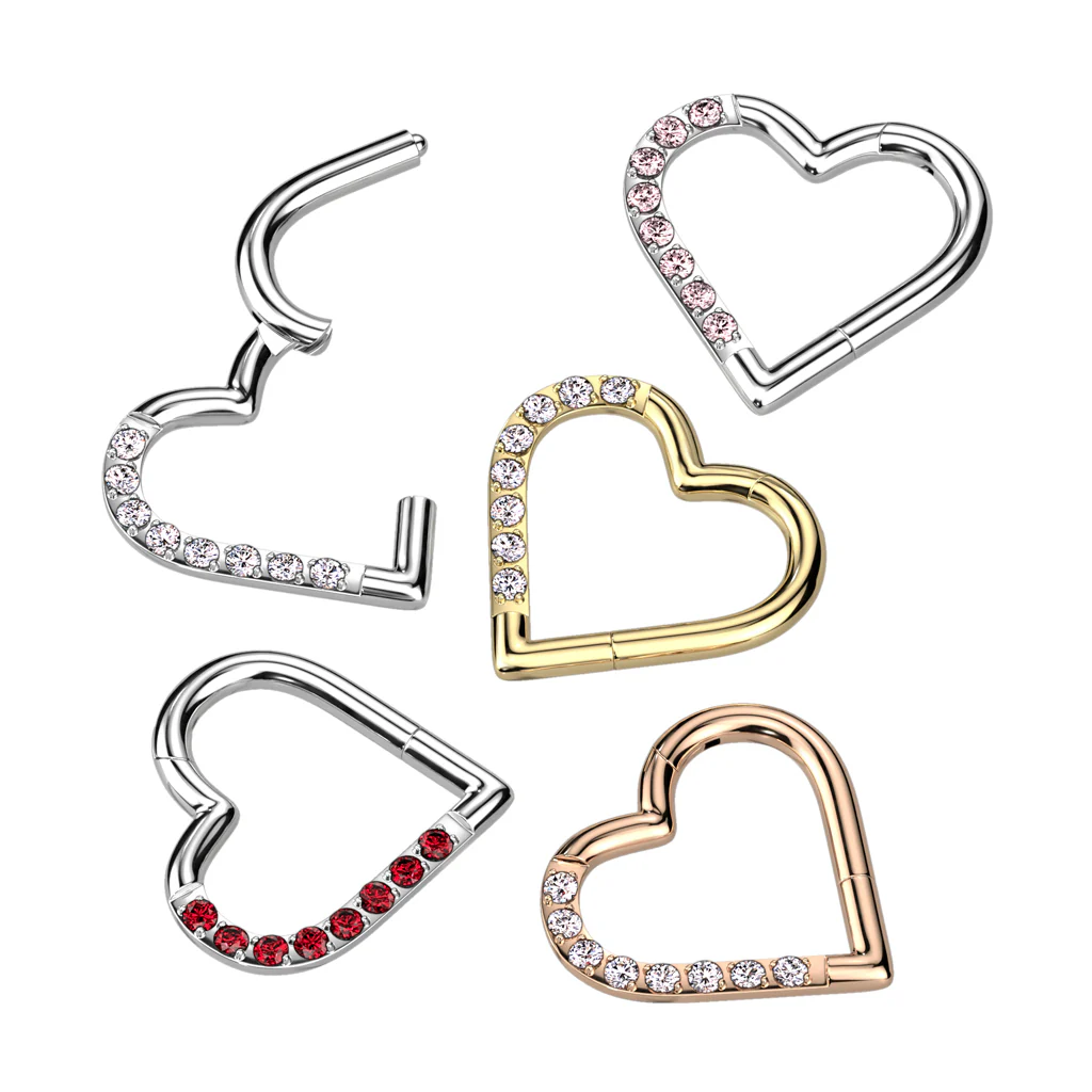 Titanium Hinged Segment Hoop Ring CZ Heart For Nose Septum Cartilage - Image 7