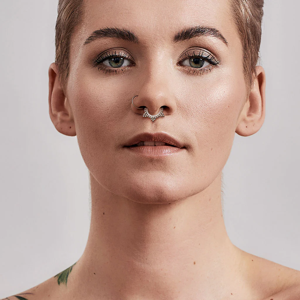 CZ & Ball Cluster Hinged Hoop Segment Ring Nose Septum Ear Cartilage - Image 2