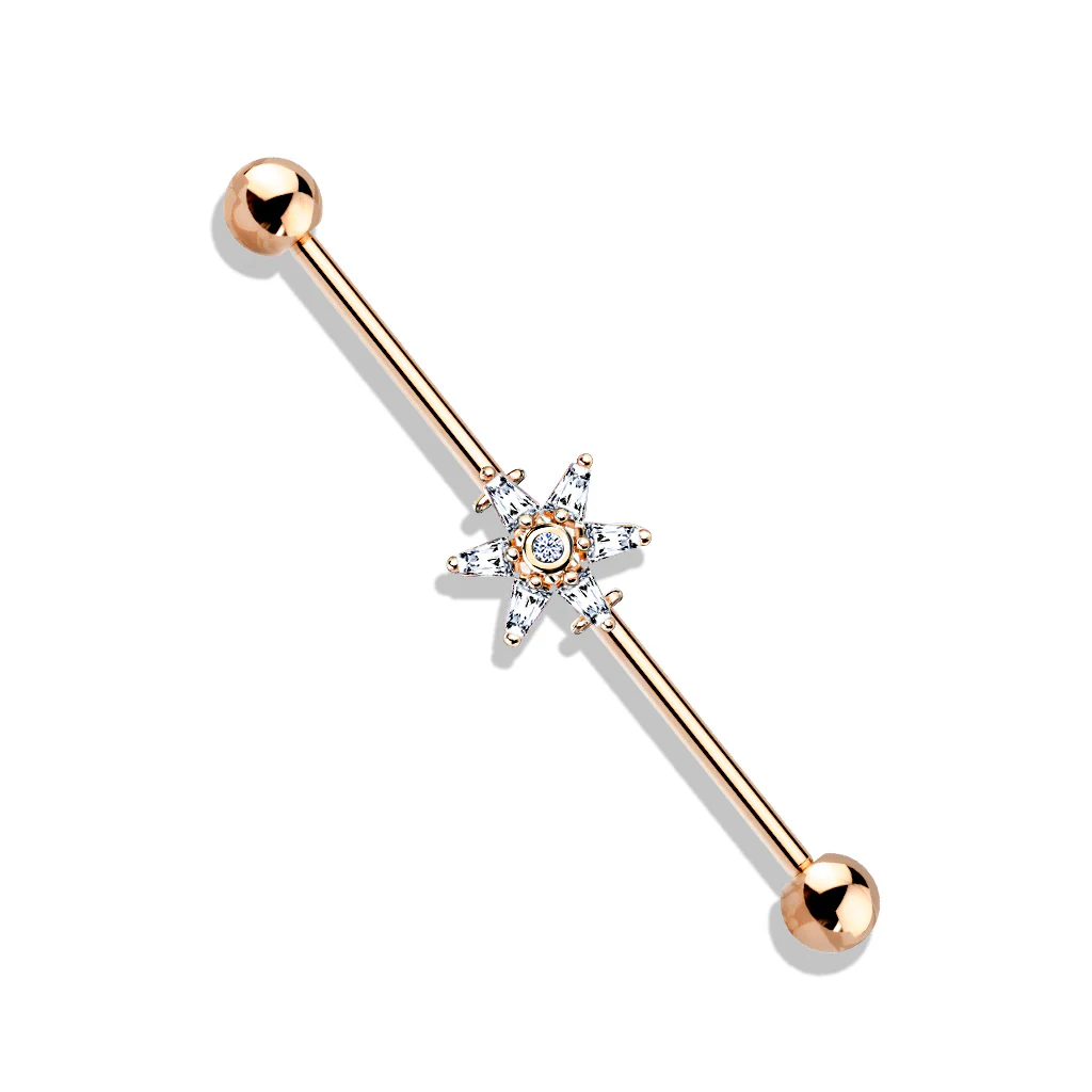 Princess Cut CZ Flower 316L Surgical Steel Industrial Barbells - Image 5