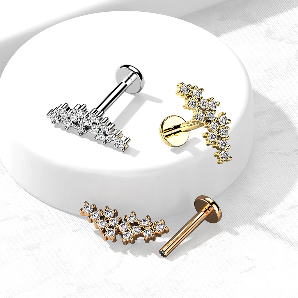 Cluster CZ Top Labret Tragus Snug Ear Cartilage Helix Studs
