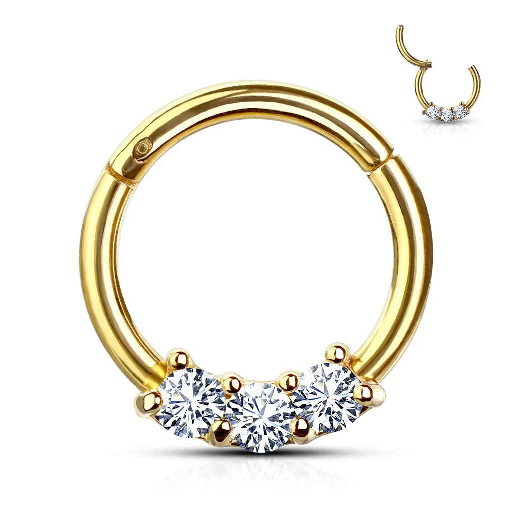 Precision 3 CZ Set All Surgical Steel Hinged Segment Hoop Ring - Image 2