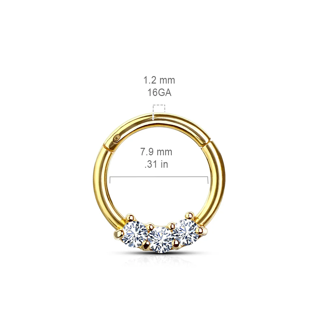 Precision 3 CZ Set All Surgical Steel Hinged Segment Hoop Ring - Image 5