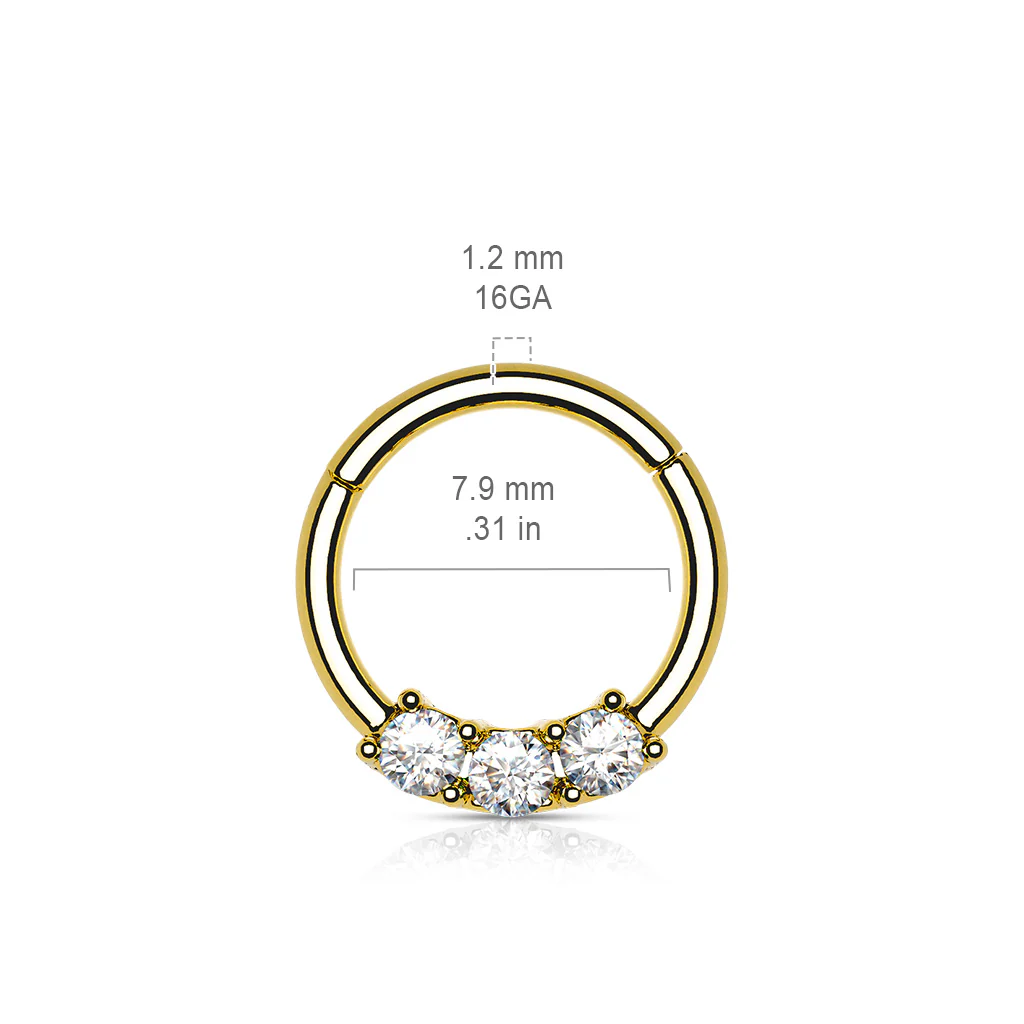 Precision 3 CZ Set All Surgical Steel Hinged Segment Hoop Ring - Image 8