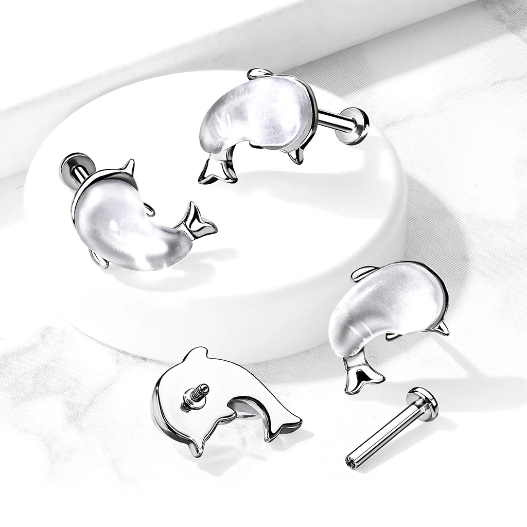 Shell Set Whale Top Lip Labret Monroe Ear Cartilage Tragus - Image 2