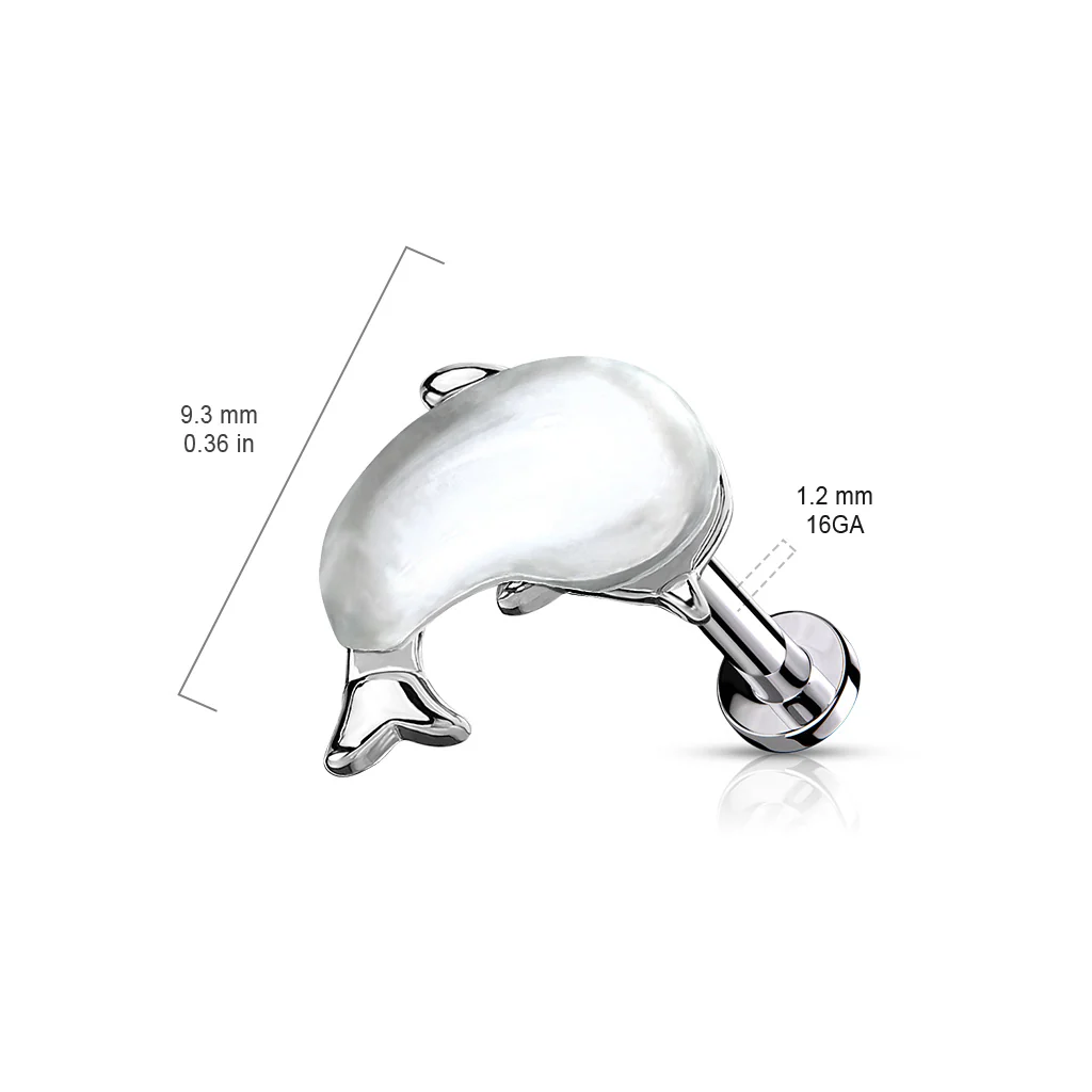 Shell Set Whale Top Lip Labret Monroe Ear Cartilage Tragus - Image 3