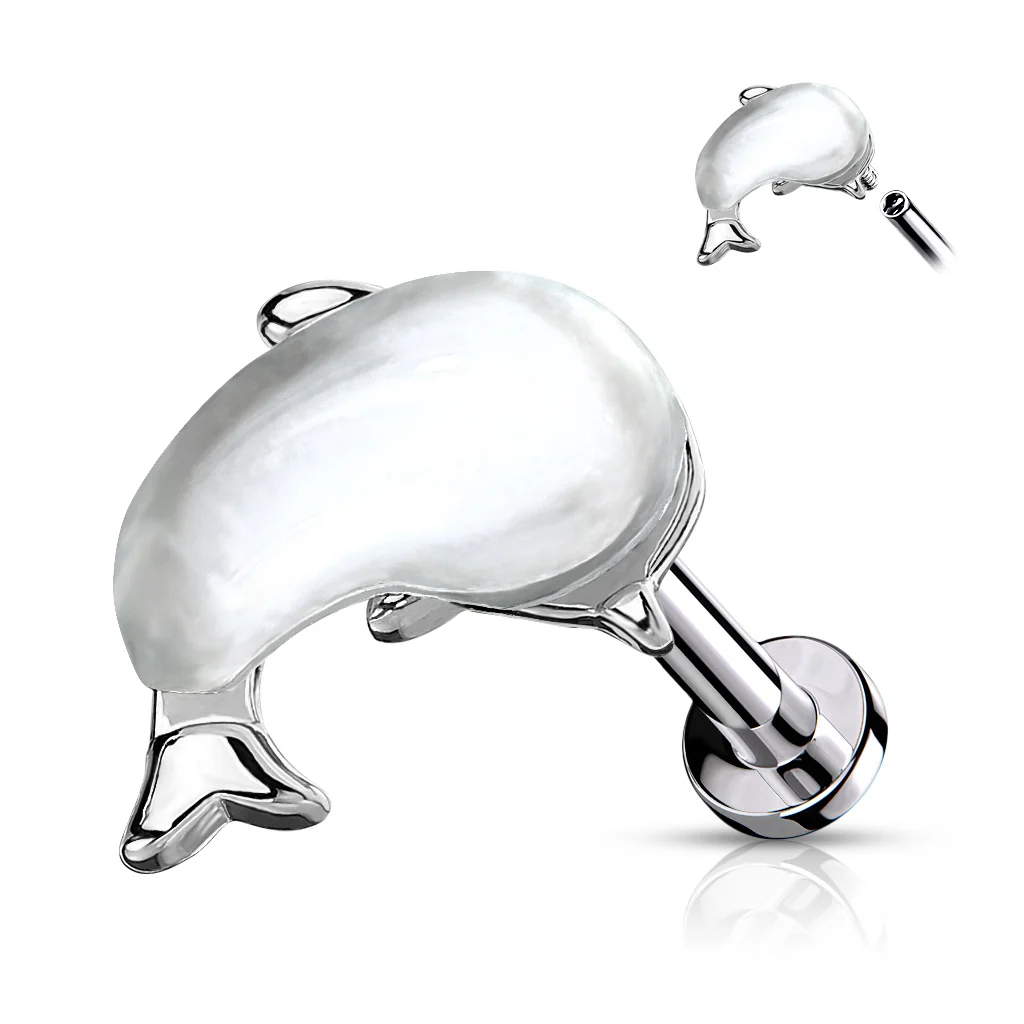 Shell Set Whale Top Lip Labret Monroe Ear Cartilage Tragus - Image 4