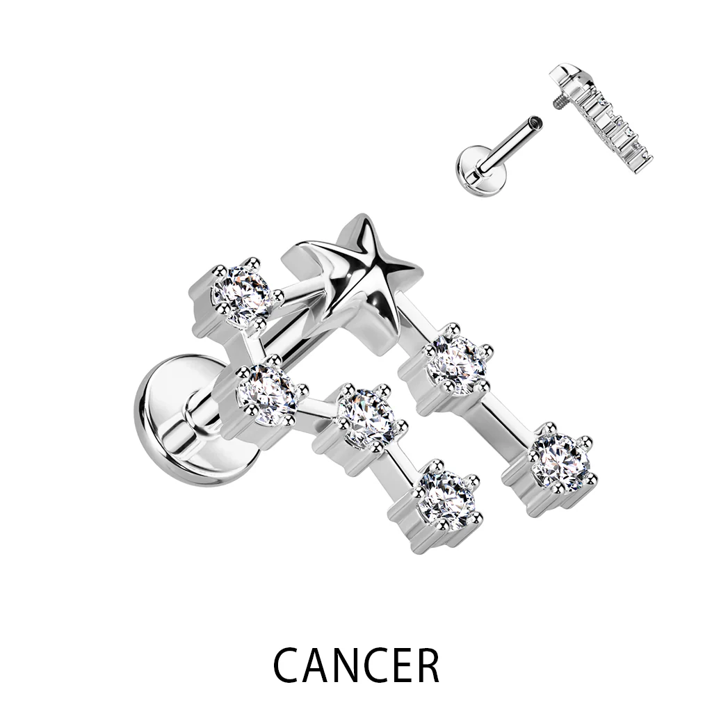 Zodiac Constellation Labret Tragus Helix Ear Cartilage Studs - Image 11