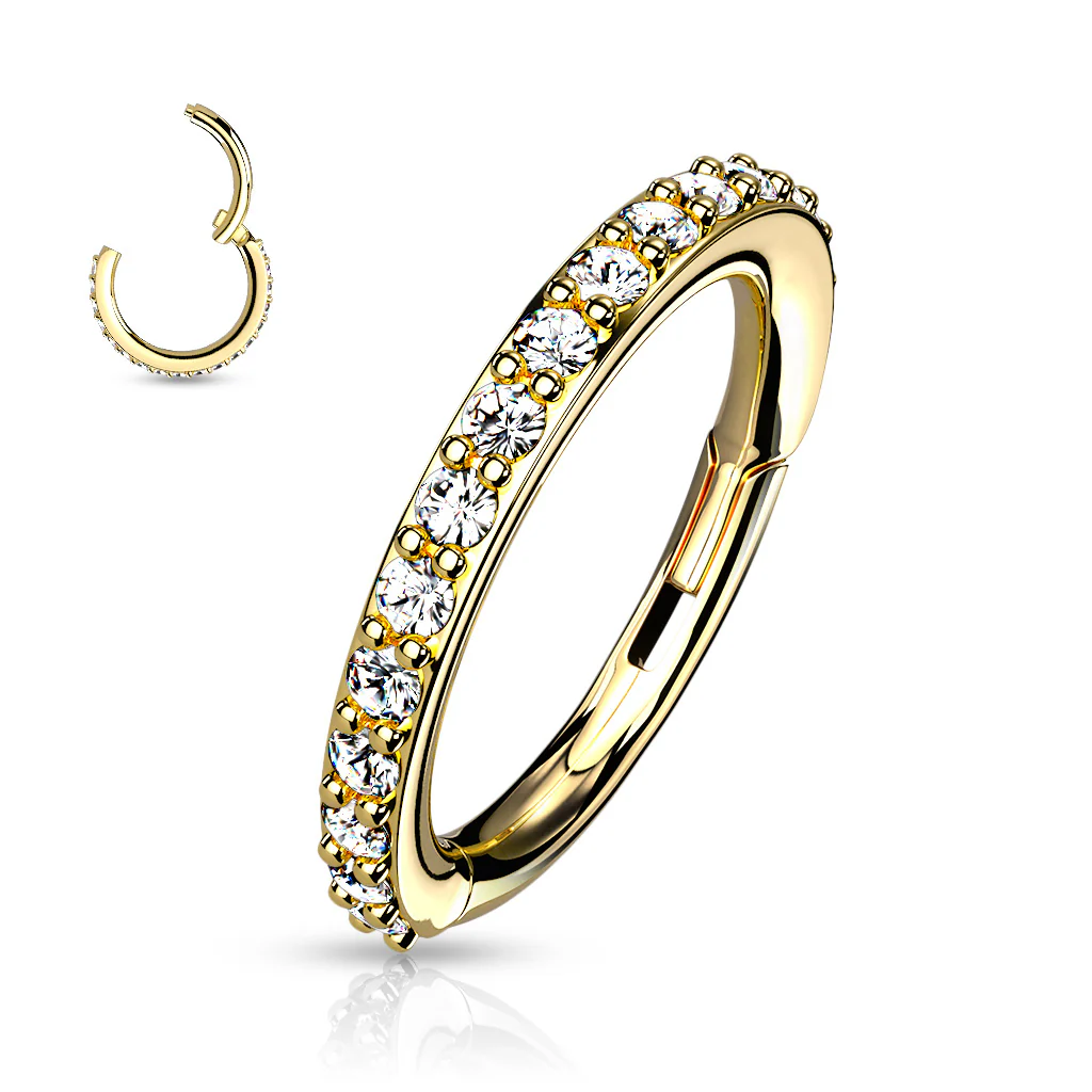 High Quality Precision All 316L Surgical Steel CNC Set CZ Hinged Segment Hoop Rings - Image 6