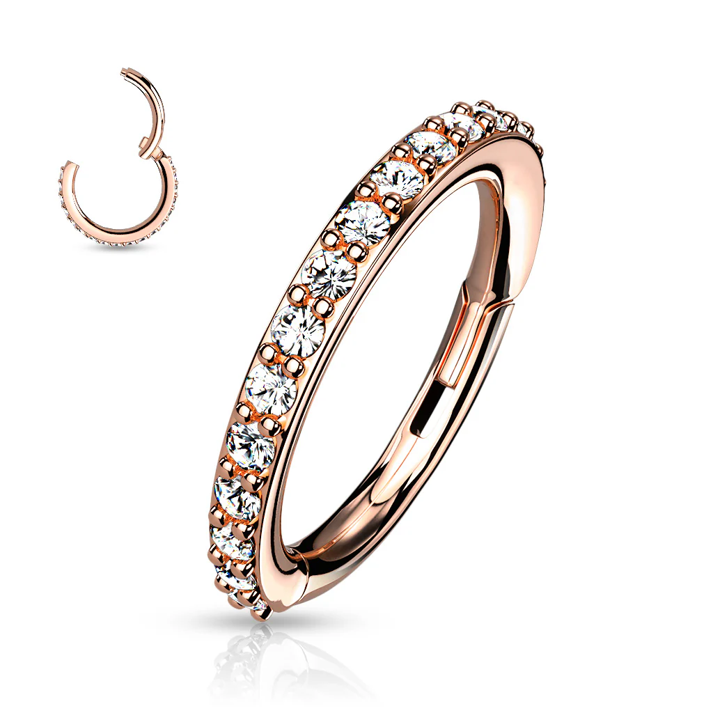 High Quality Precision All 316L Surgical Steel CNC Set CZ Hinged Segment Hoop Rings - Image 7