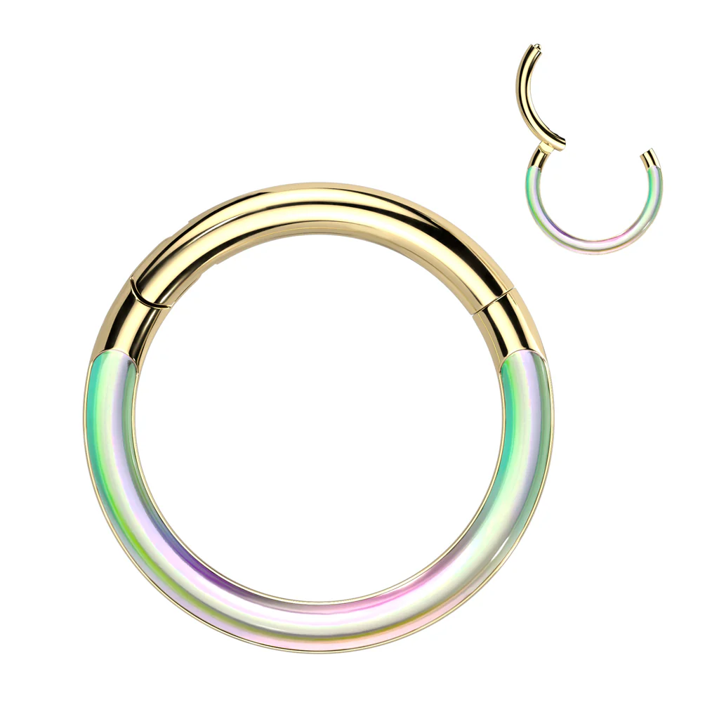 Titanium Hinged Segment Hoop Ring Photochromic For Nose Septum Cartilage - Image 3