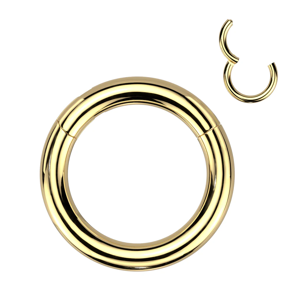 Titanium Heavy Large Gauge Hinged Segment Ring Cartilage - Image 4