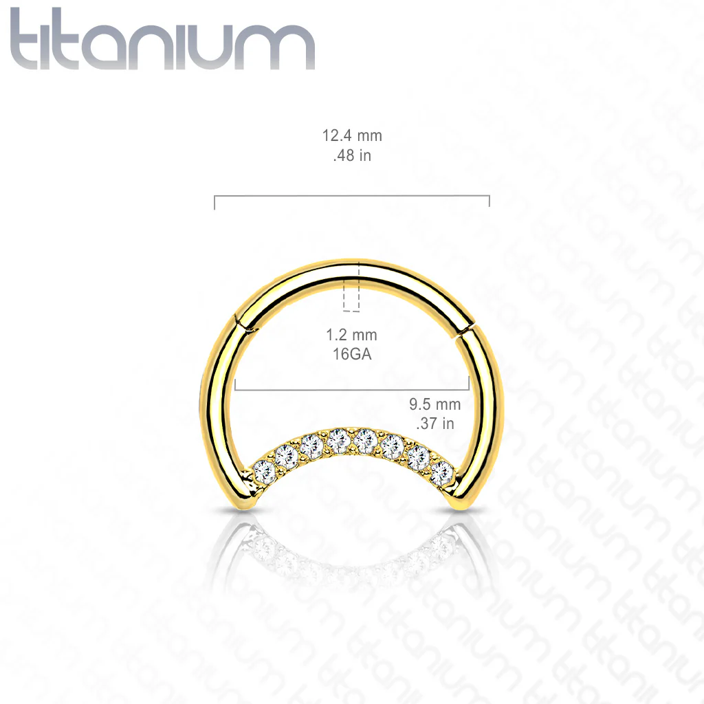 Titanium Hinged Segment Hoop Ring CZ Crescent For Nose Septum Cartilage - Image 4