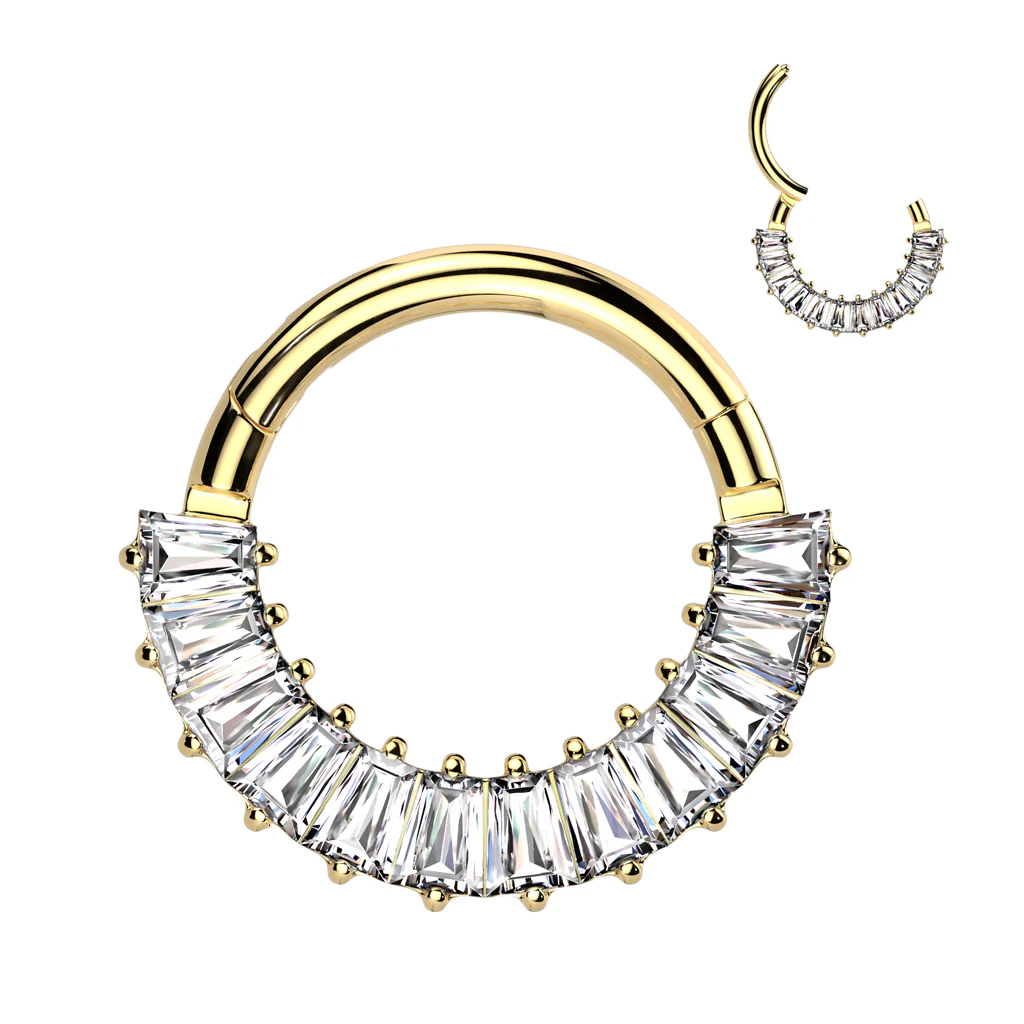 Titanium Hinged Segment Hoop Ring Pave Baguette CZ For Nose Septum Cartilage - Image 4