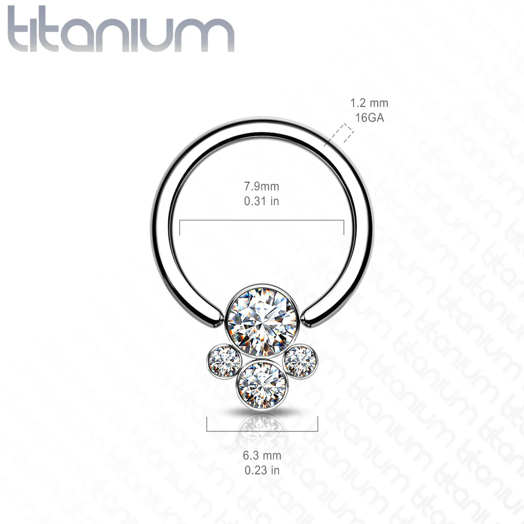Implant Titanium CZ Pet Paw Captive Rings Ear Cartilage Nose Septum Ring - Image 5