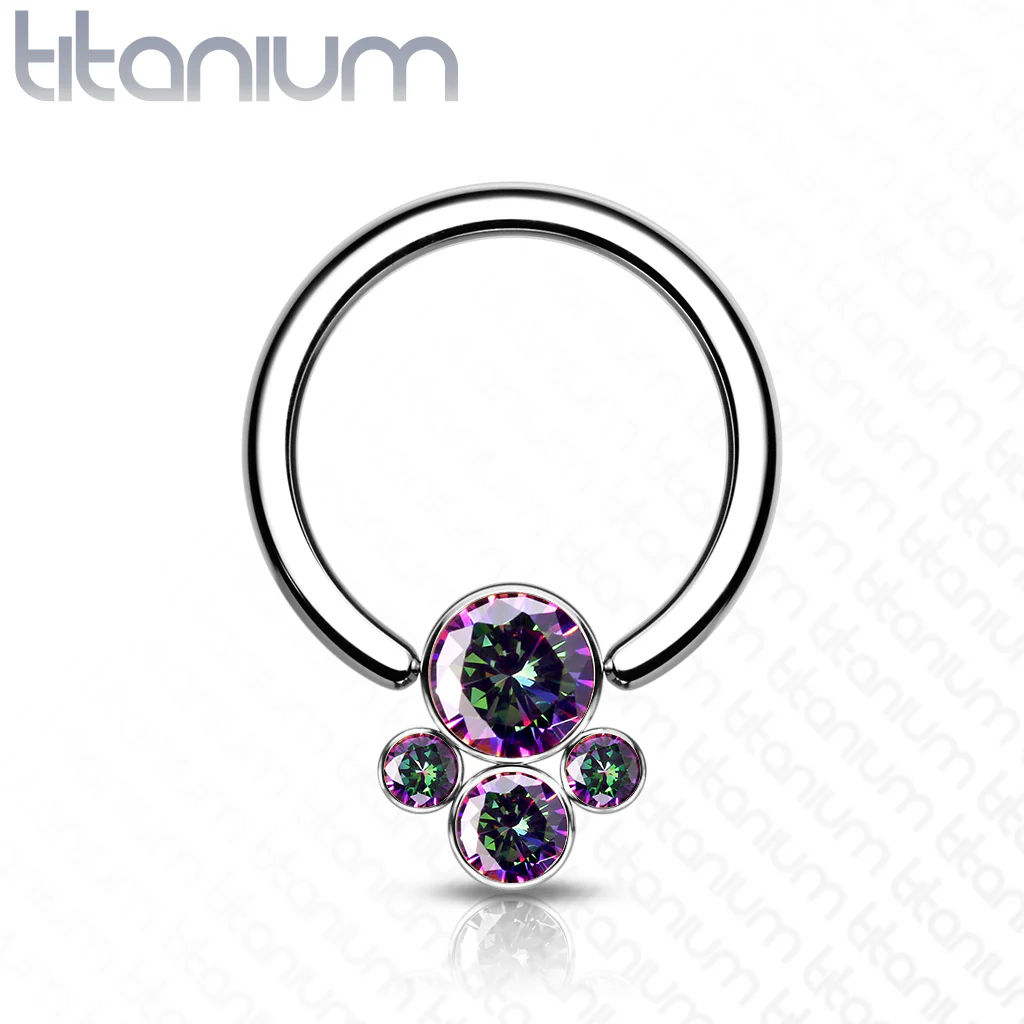 Implant Titanium CZ Pet Paw Captive Rings Ear Cartilage Nose Septum Ring - Image 6