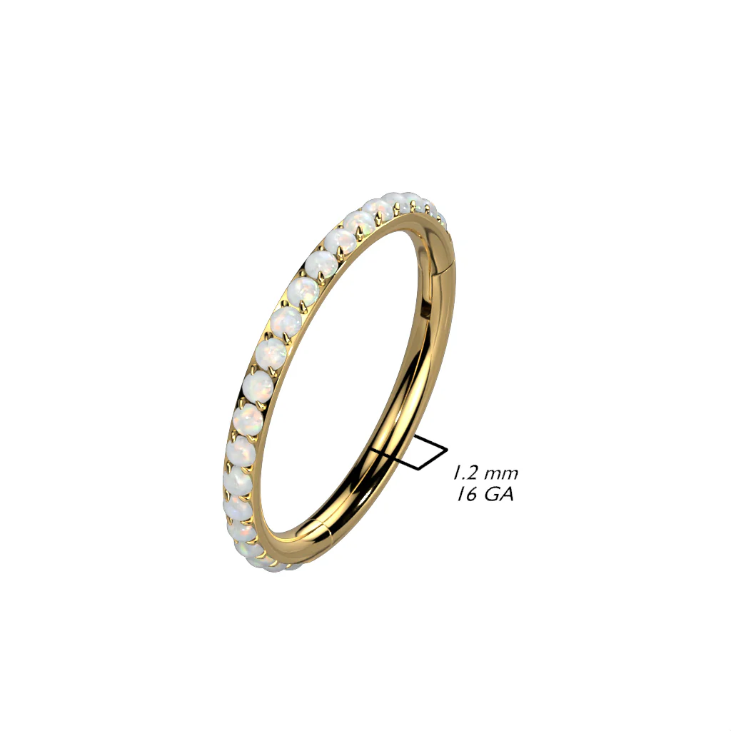 Titanium Hinged Segment Hoop Ring Opal Line For Nose Septum Cartilage - Image 2