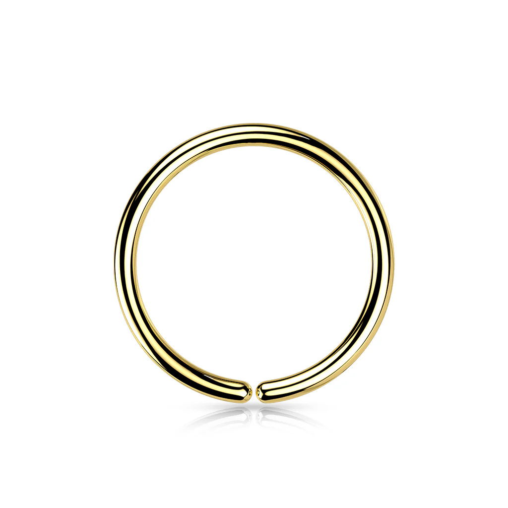 Implant Titanium Plain Seamless Hoop Rings - Image 6