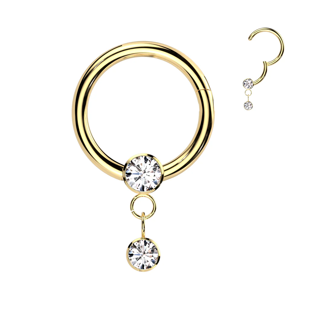 Titanium Hinged Segment Hoop Ring CZ Dangle For Nose Septum Cartilage - Image 3
