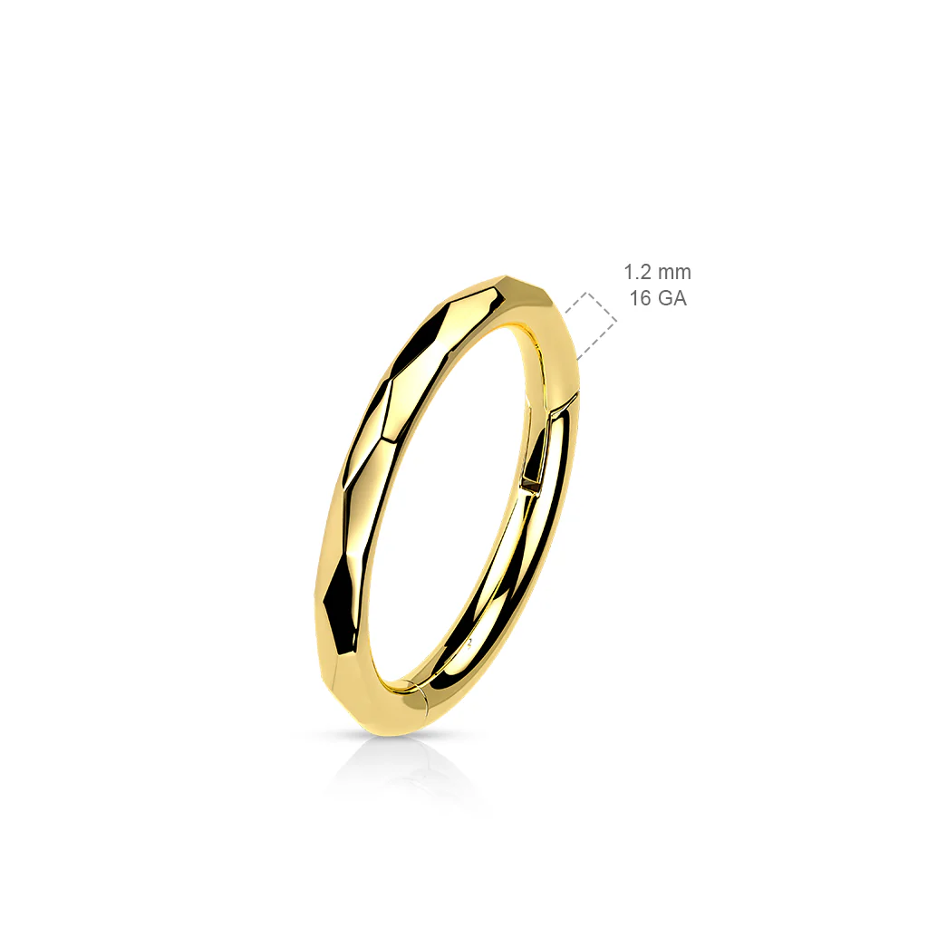Titanium Hinged Segment Hoop Ring Faceted Side For Nose Septum Cartilage - Image 2