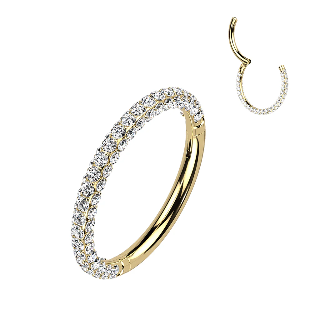 Titanium Hinged Segment Hoop Ring 3 Paved CZ For Nose Septum Cartilage - Image 3