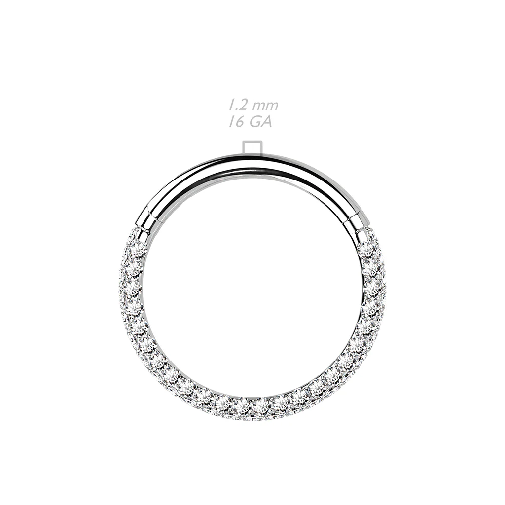 Titanium Hinged Segment Hoop Ring 3 Paved CZ For Nose Septum Cartilage - Image 5