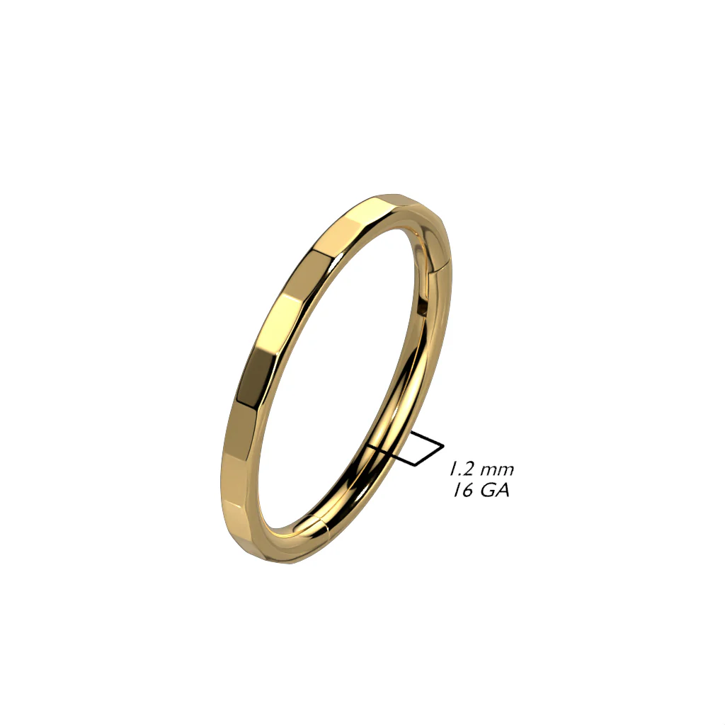 Titanium Hinged Segment Hoop Ring Facets For Nose Septum Cartilage - Image 2